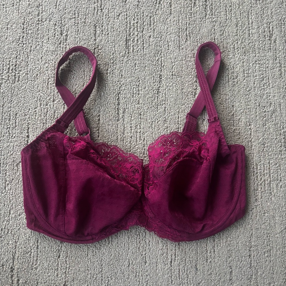 Panache Envy 7285 Wine Magenta Lace Underwire Bra 36FF